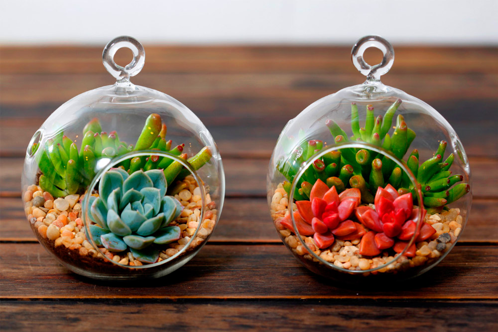 globe-terrarium