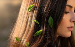 معجزه چای سبز برای درمان ریزش مو: آیا واقعاً مؤثر است؟!