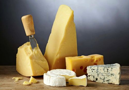 هر پنیر رو چجوری باید نگه داشت که حداقل تا ۶ ماه خراب نشه؟!
