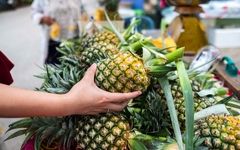 چگونه یک آناناس شیرین و آبدار انتخاب کنیم؟