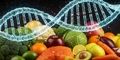 تغذیه مبتنی بر DNA: ژن‌های خود را بشناسید، بهترین رژیم غذایی را انتخاب کنید!