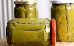 چگونه برگ مو را برای تمام سال فریز کنیم؟
