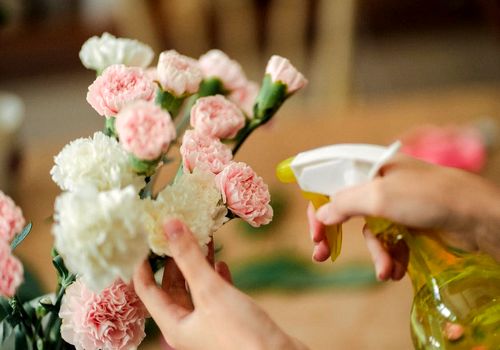 ترفندهای خانه تکانی: روش‌های ساده برای تمیز کردن گل‌های مصنوعی