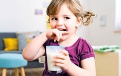 باورهای غلط درباره شیر: ۵ افسانه‌ای که باید فراموش کنید!