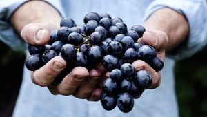 سلامتی در یک لیوان: فواید شگفت‌انگیز آب انگور