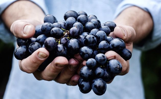 سلامتی در یک لیوان: فواید شگفت‌انگیز آب انگور