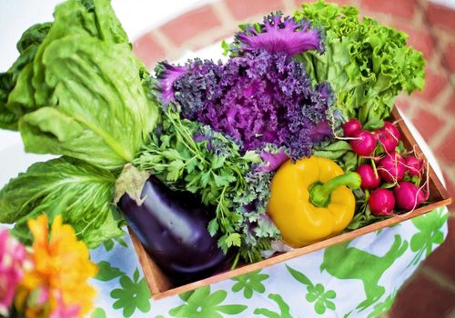 میوه و سبزی بخوریم یا نخوریم؟ راهنمای خرید سالم‌ترین محصولات