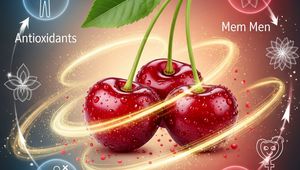 آلبالو: میوه‌ای کوچک، خواصی بزرگ برای زنان و مردان