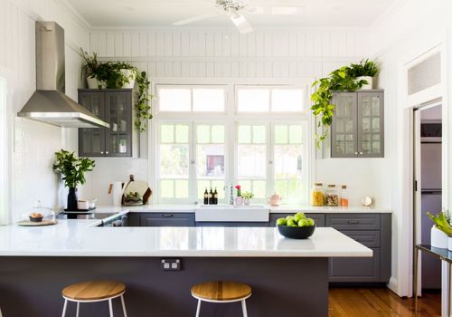 میدونستی هر گلی رو نباید تو آشپزخونه بذاری؟! 5 گیاه آپارتمانی مقاوم برای زیباتر کردن آشپزخانه
