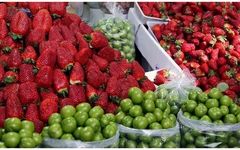 خبر خوش برای عاشقان میوه‌های نوبرانه: قیمت این میوه‌ها به طور قابل توجهی کاهش یافت!