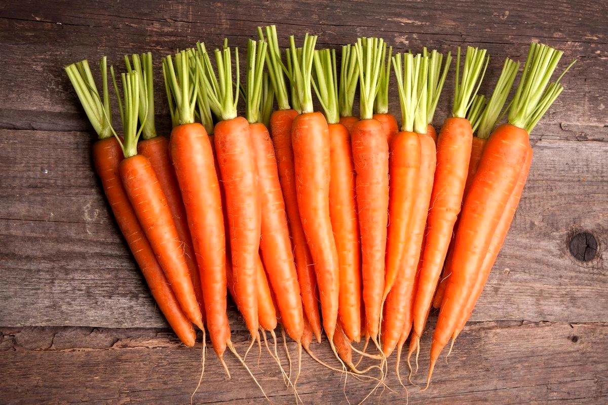 راهنمای کامل نگهداری هویج: از تازگی یک روزه تا ذخیره‌سازی یک‌ساله