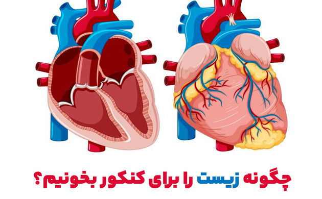 چگونه زیست را برای کنکور بخونیم؟ 