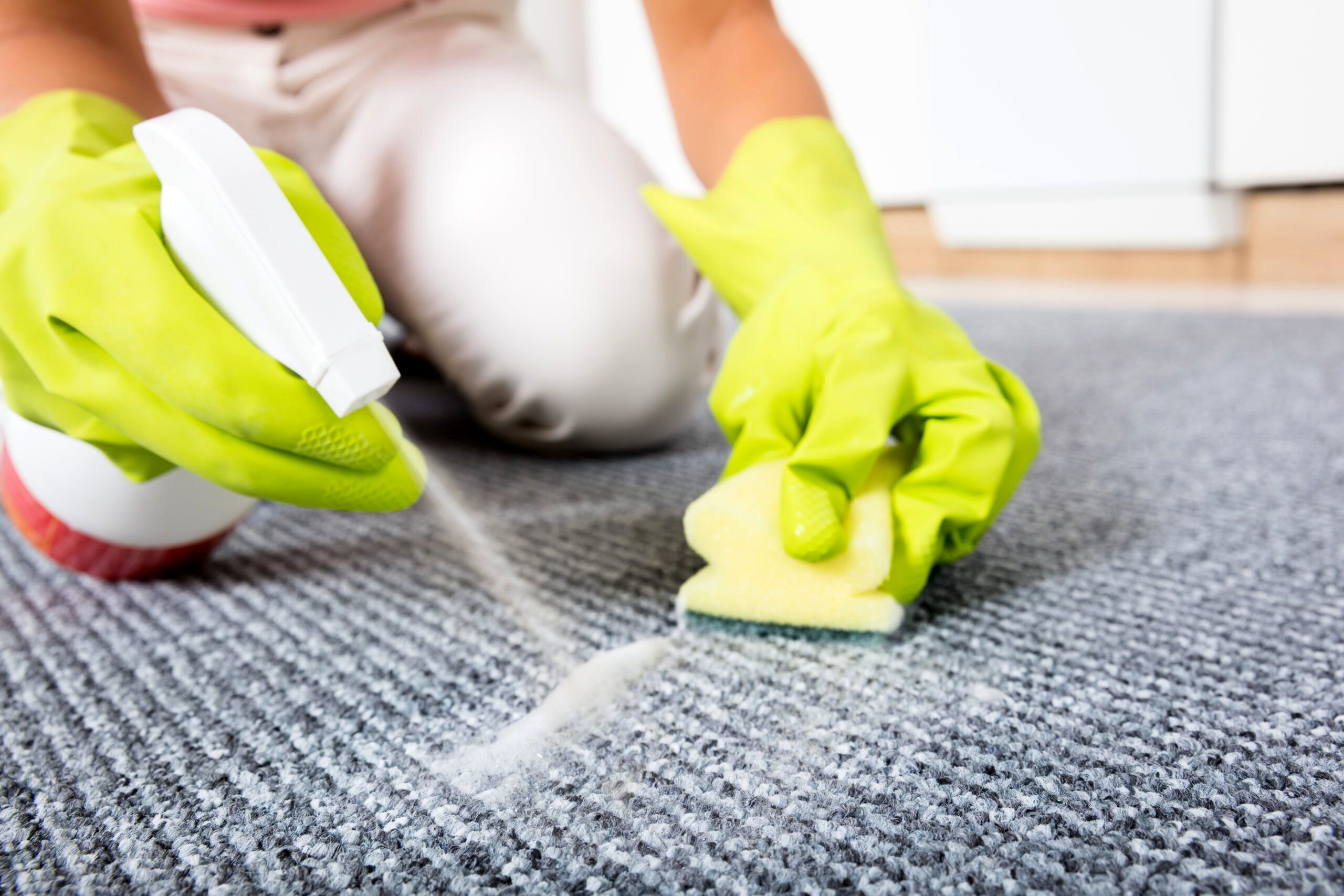 ترفند خانه تکانی: راهنمای کامل شست‌وشوی فرش در خانه مثل قالیشویی‌های حرفه‌ای